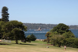 A leisurely day at the Royal Botanic Gardens